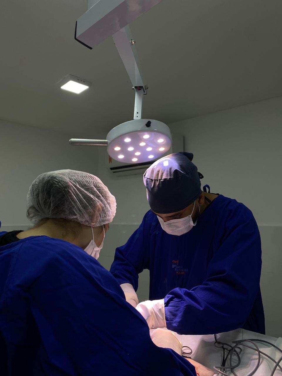 Sala de cirurgia hospital veterinário